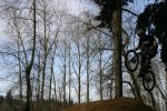 IMG_4073_12_1.JPG
